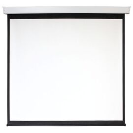  Экран 209x206см Digis Electra-F DSEF-1106 1:1 настенно-потолочный рулонный (моторизованный привод) 