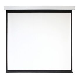  Экран 213x213см Digis Electra-F DSEF-1107 1:1 настенно-потолочный рулонный (моторизованный привод) 