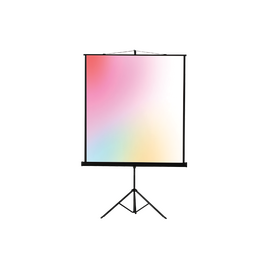  Экран Lumien Eco View (LEV-100108) White 