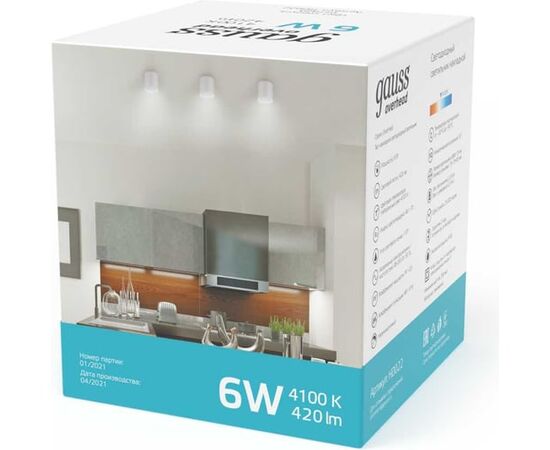 Светильник GAUSS Overhead HD022 6 Вт, белый 