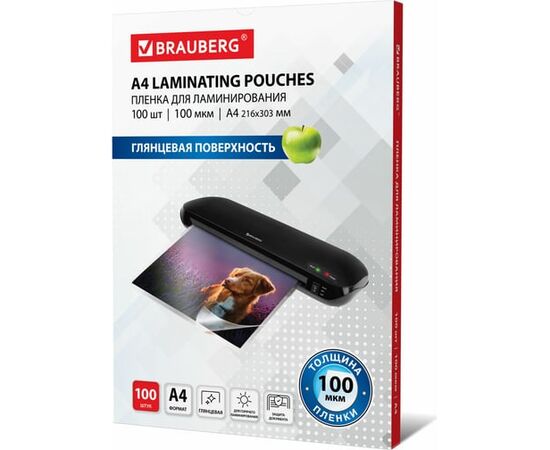  Пленки-заготовки для ламинирования BRAUBERG 530801 А4 100мкм 100шт 