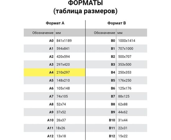  Пленки-заготовки для ламинирования BRAUBERG 530801 А4 100мкм 100шт 