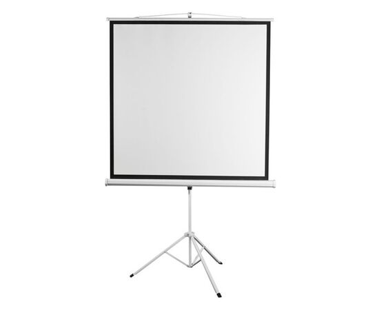  Экран на штативе Digis DSKD-1103, формат 1:1, 84" (156x159), MW, Kontur-D 