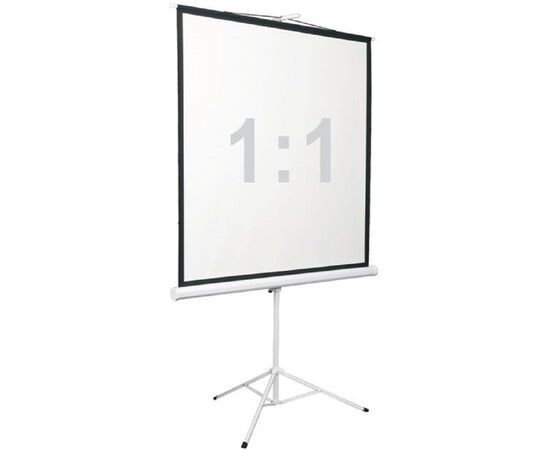  Экран на штативе Digis DSKD-1103, формат 1:1, 84" (156x159), MW, Kontur-D 